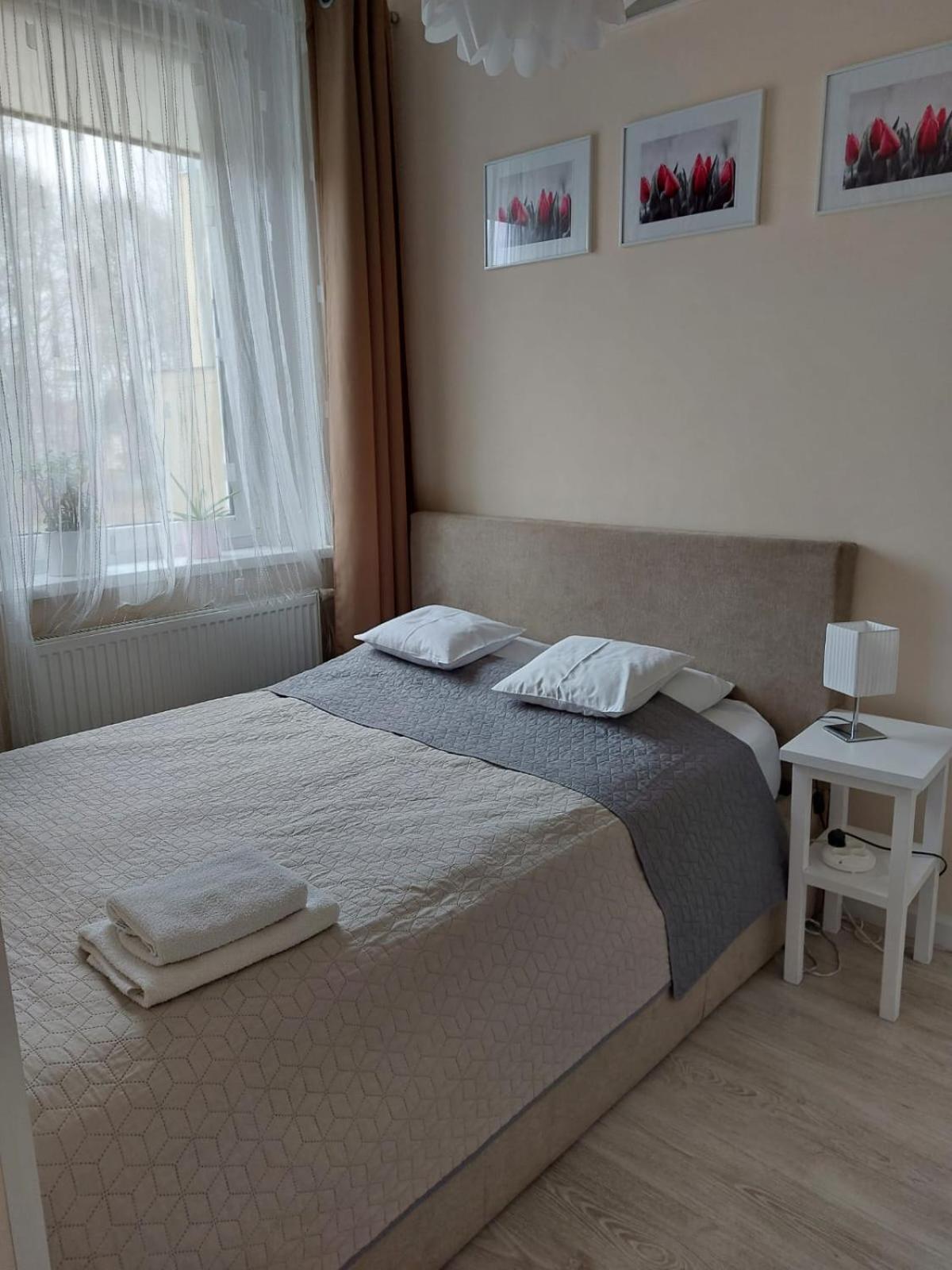 Come&Stay Zielona Gora Eksteriør billede